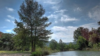 FoxFire Cabins