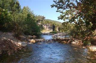FoxFire Cabins