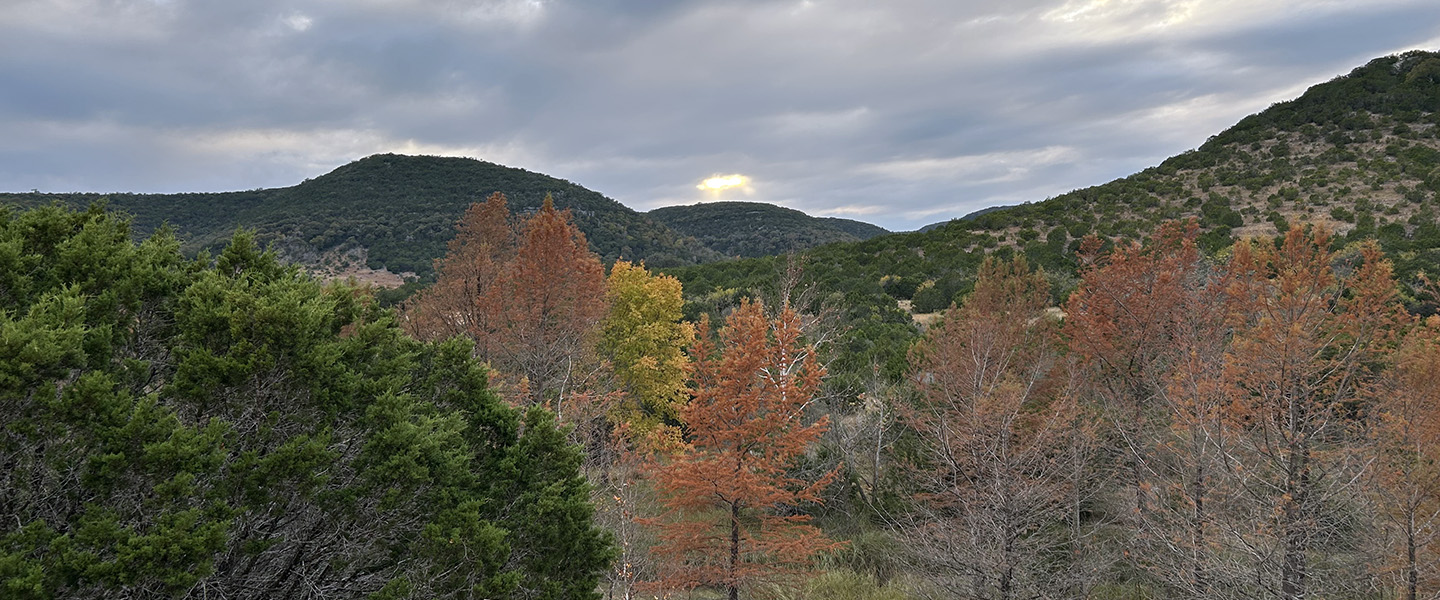 FoxFire Cabins